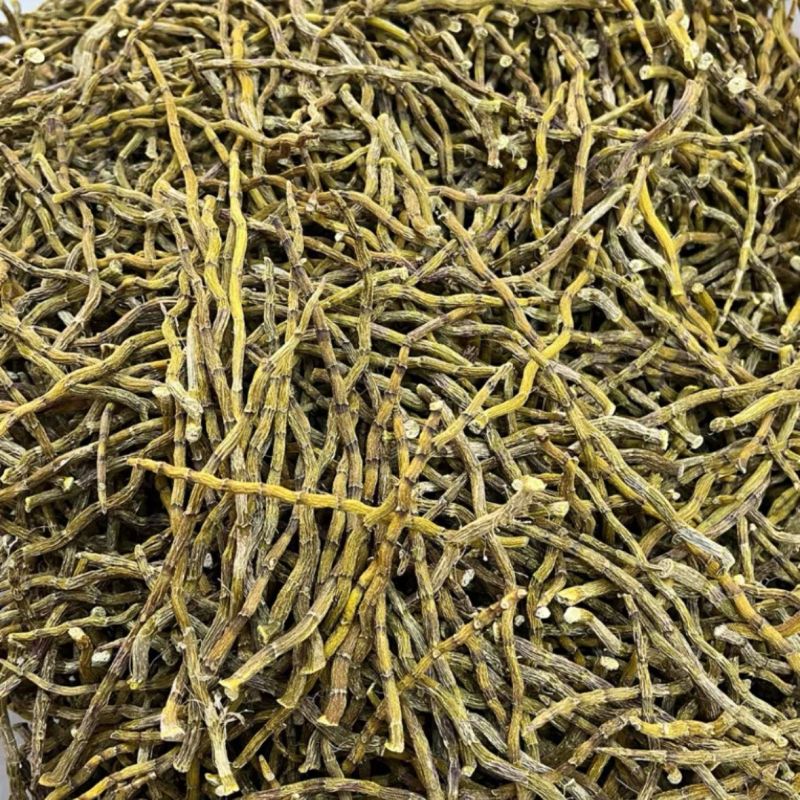 云南天然石斛晒干正宗霍山铁皮石斛干条无渣胶质饱满五年枫斗新货