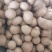 山药豆种子货源充足，产地直发，诚信经营，欢迎客商来电