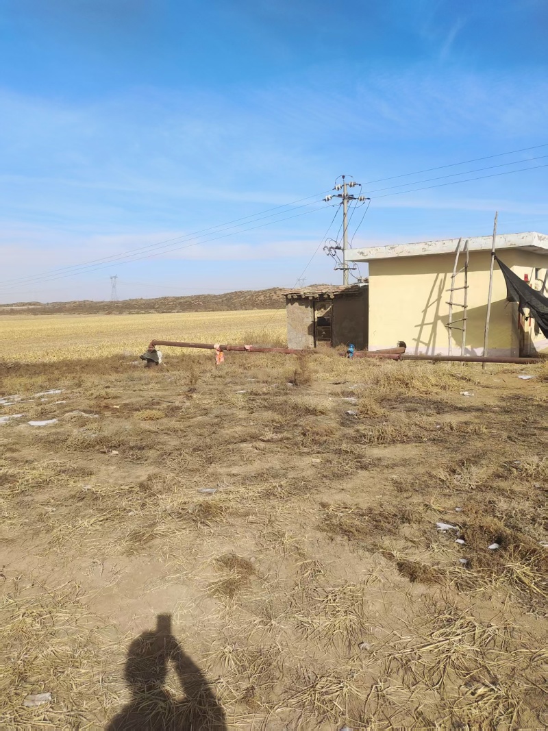 600亩地下水自动化滴灌优质耕地承包地势平坦适合大型农机