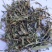 中药材铁线透骨草1公斤黄花铁线莲竹格叉狗肠草