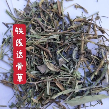 中药材铁线透骨草1公斤黄花铁线莲竹格叉狗肠草