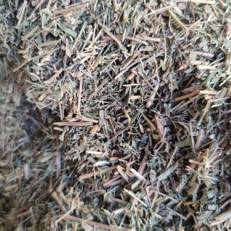 中药材铁线透骨草1公斤黄花铁线莲竹格叉狗肠草