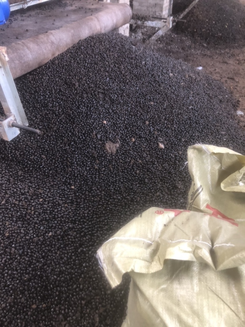 发酵有机肥（纯羊粪）量大从优，常年供应