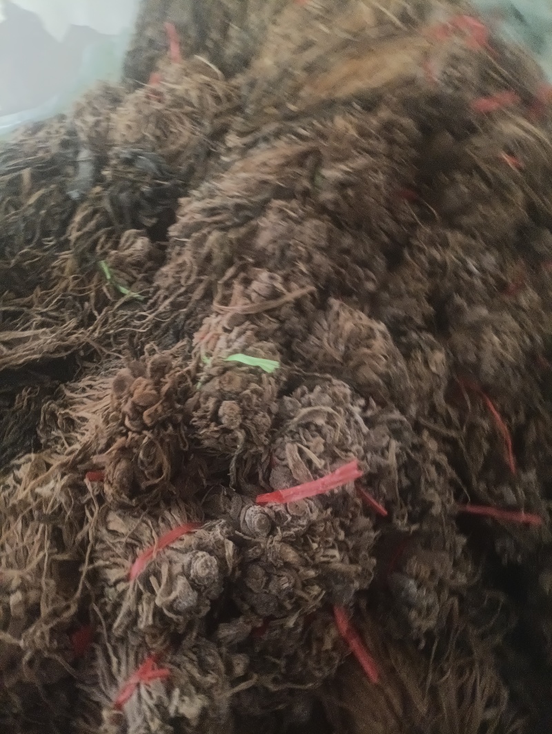 精品梅干菜