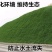 狗牙根种子矮生耐践踏免修剪根系发达固土固沙防塌