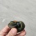 松花蛋，无铅工艺，蛋清硬实，无杂味，多种包装