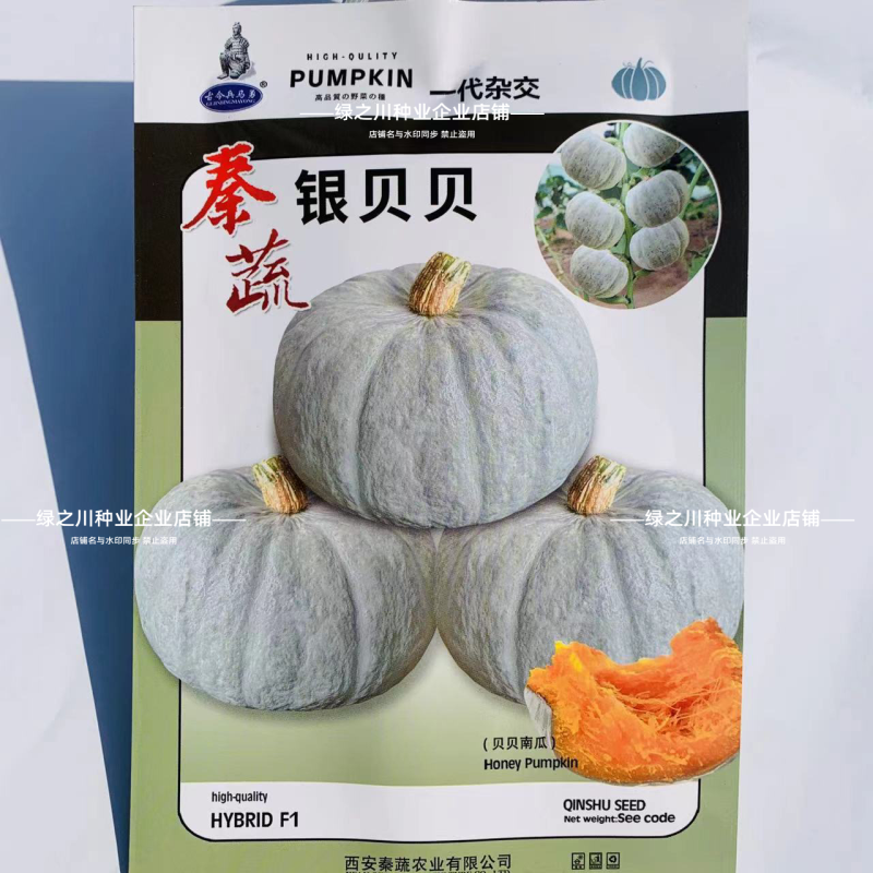 秦蔬银贝贝南瓜种籽香甜高产小型银栗灰皮南瓜种子迷你贝贝