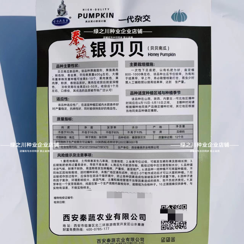 秦蔬银贝贝南瓜种籽香甜高产小型银栗灰皮南瓜种子迷你贝贝