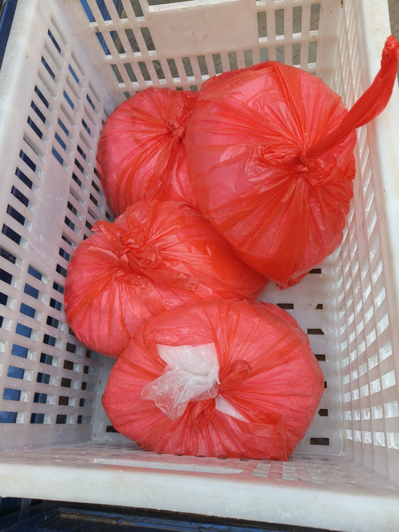 山里野生葛粉自挖无任何添加剂无杂质自然晾晒