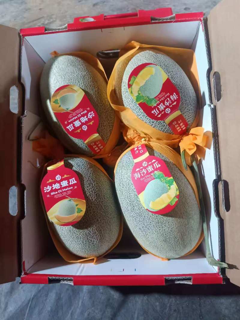 晓密二十五号货源充足，产地直发
