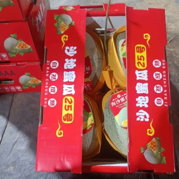 晓密二十五号货源充足，产地直发