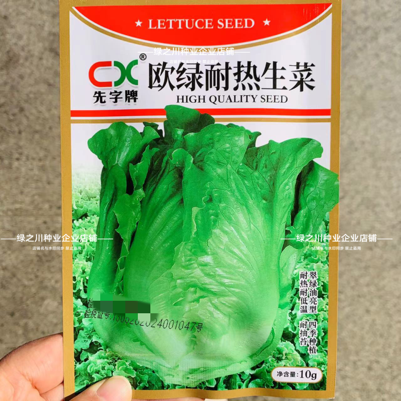 欧绿耐热生菜种子无苦味耐抽苔四季半结球生菜种子耐寒