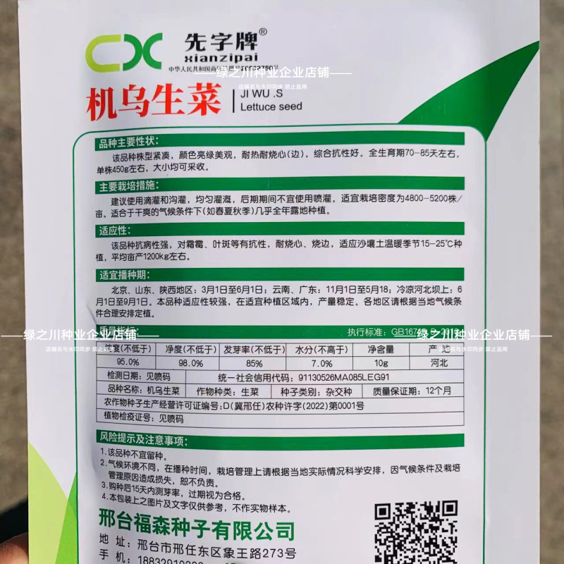 高产速生生菜种子大速生菜种籽四季种植盆栽生吃耐热沙拉蔬菜