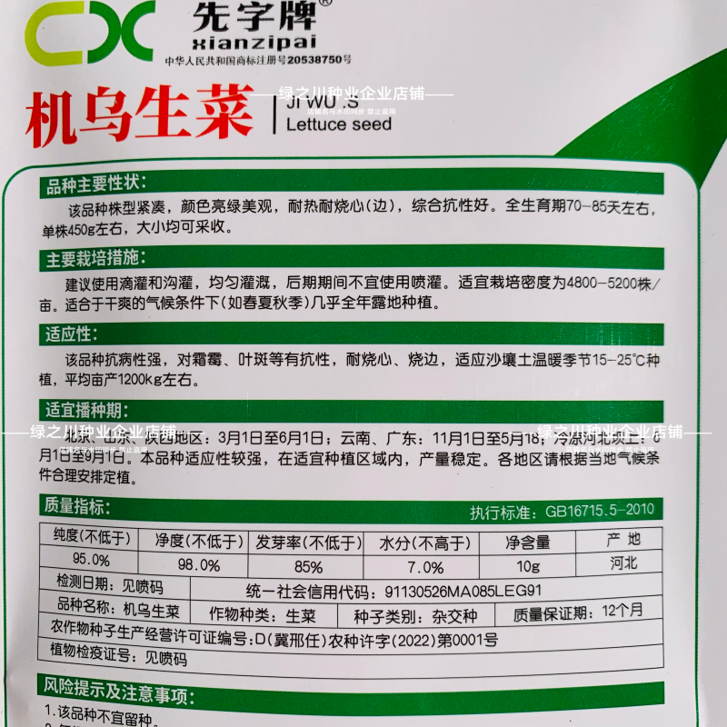 高产速生生菜种子大速生菜种籽四季种植盆栽生吃耐热沙拉蔬菜