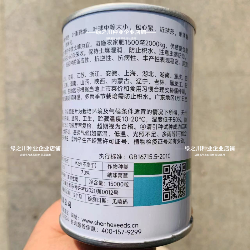 包心紧结球生菜种子单株重达1斤四季蔬菜种子球生菜种子耐抽