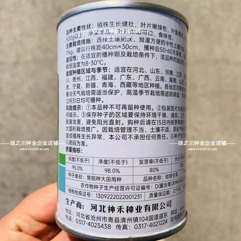 包心紧结球生菜种子单株重达1斤四季蔬菜种子球生菜种子耐抽