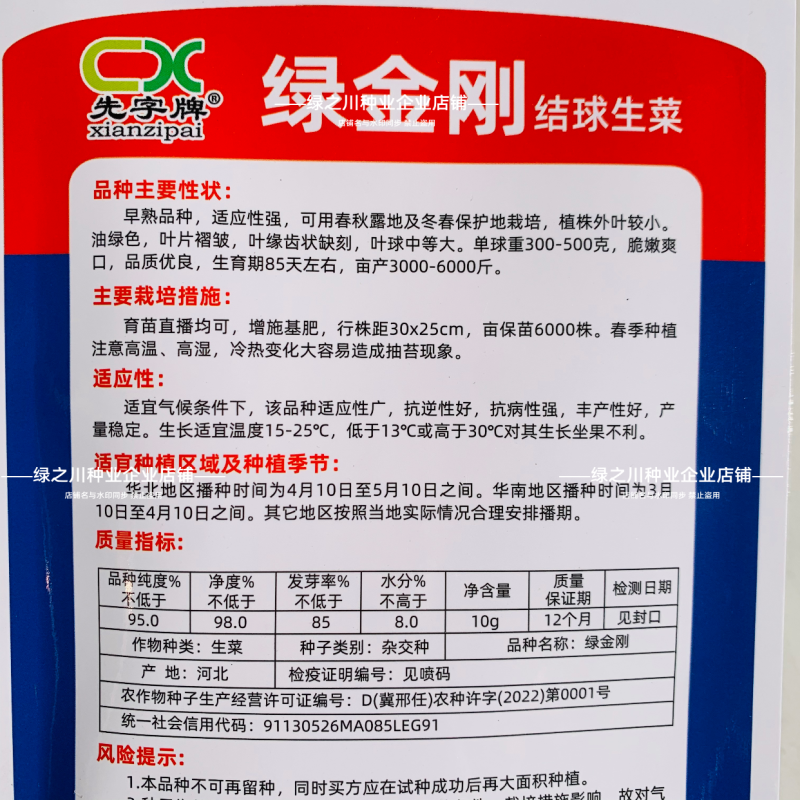 包心紧结球生菜种子单株重达1斤四季蔬菜种子球生菜种子耐抽