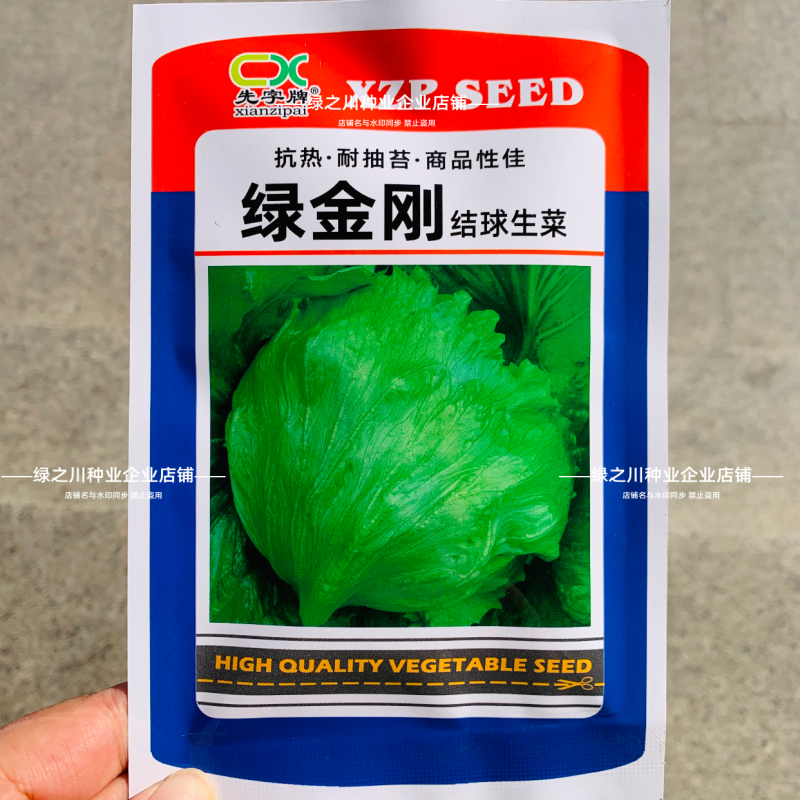 包心紧结球生菜种子单株重达1斤四季蔬菜种子球生菜种子耐抽