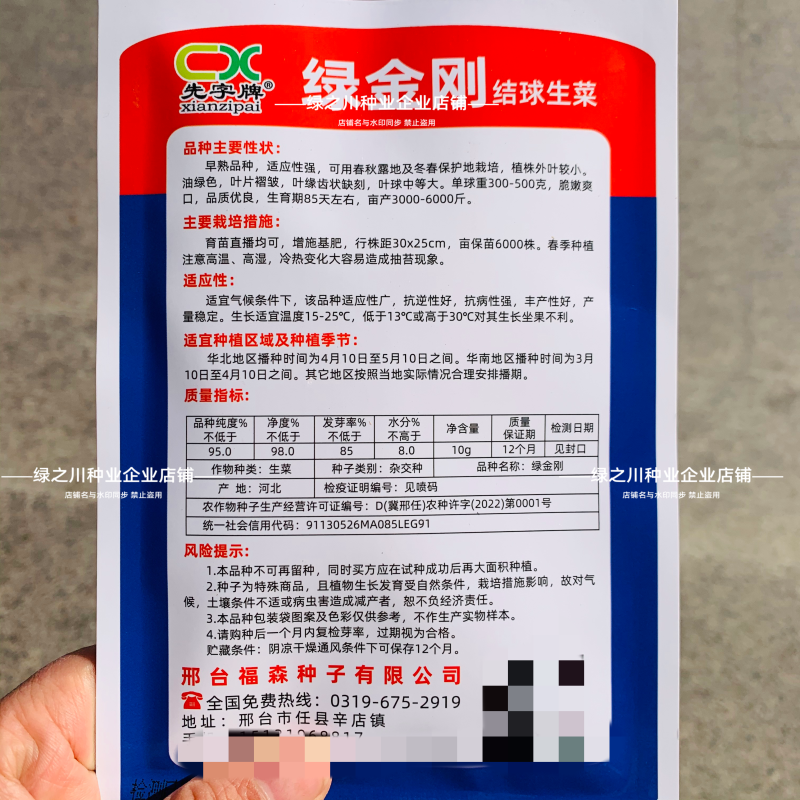 包心紧结球生菜种子单株重达1斤四季蔬菜种子球生菜种子耐抽