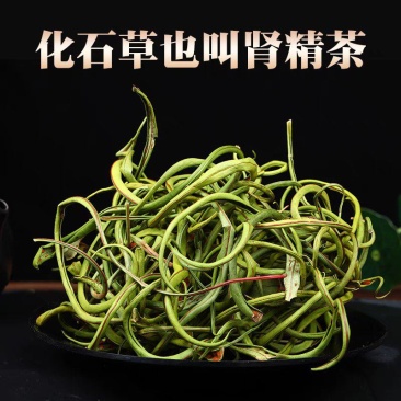 肾精草中药材500g长白山肾精草正品野生肾精茶化石草黄金