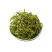 肾精草中药材500g长白山肾精草正品野生肾精茶化石草黄金
