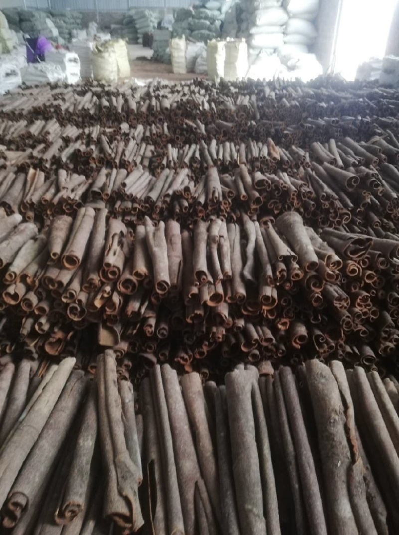 桂通（大中小）桂丝水洗桂通产地大量供应