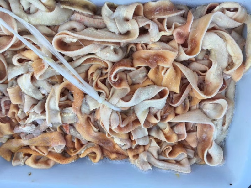 批发鹅肠，整根鹅肠，火锅鹅肠，大鹅肠，鲜鹅肠，不泡水