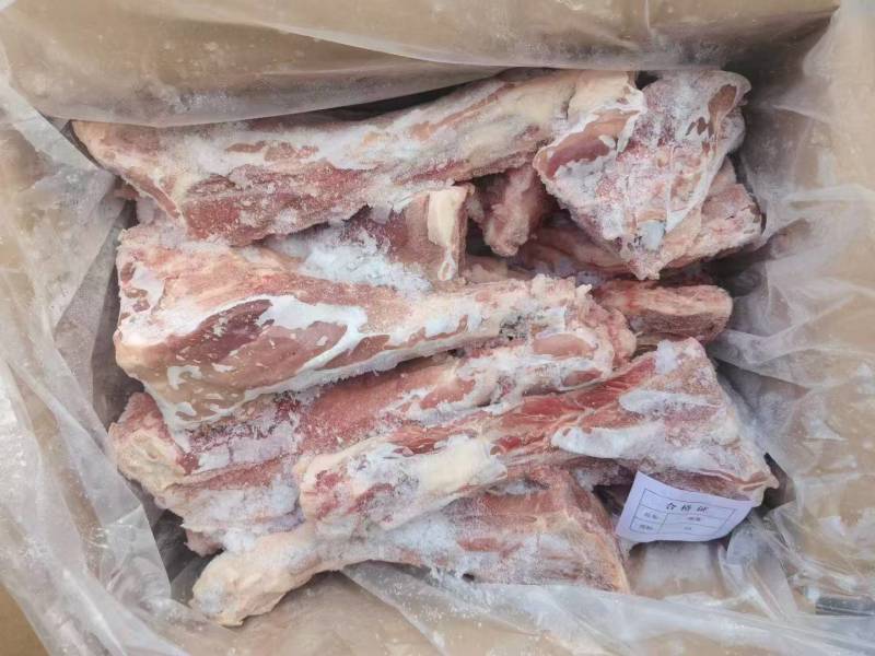 大猪多肉尾骨尾骨