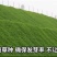 高羊茅种子草坪种子四季常青草坪种子耐寒免修剪耐践踏