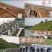 高羊茅种子草坪种子四季常青草坪种子耐寒免修剪耐践踏
