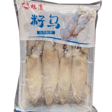 一斤装生籽海兔一包一斤25元