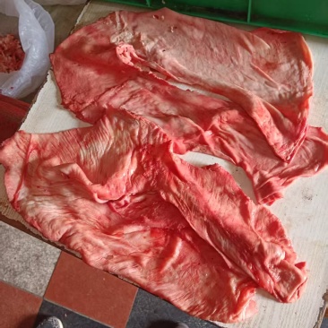 罗肌皮牛护心肉筋皮