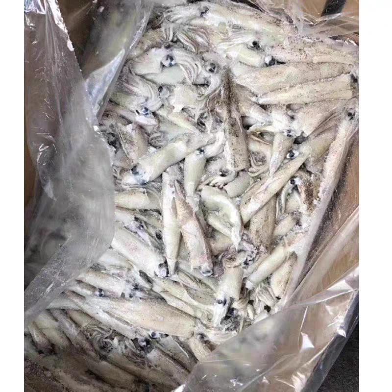 冷冻笔管鱼加州鱿鱼20斤装整箱商用小鱿鱼籽乌烧烤自助