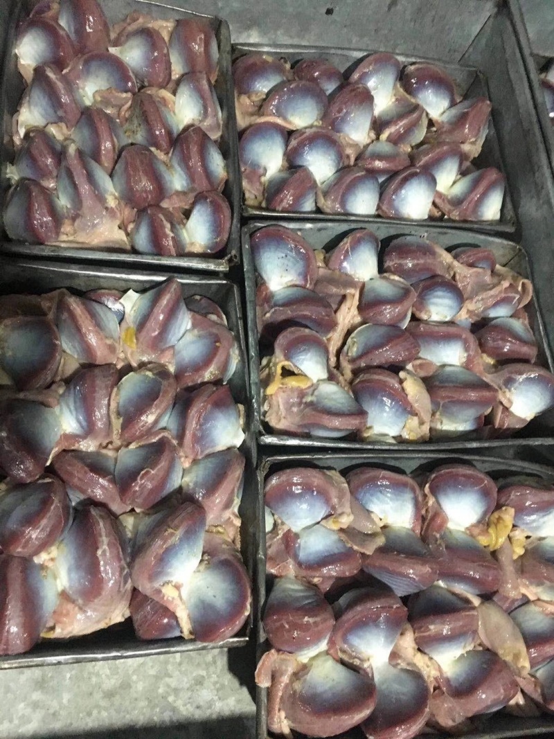 鹅胗，不泡水，新鲜仔鹅胗，规格齐全，品质好，干净