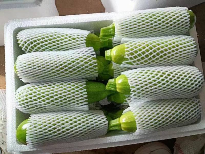 新鲜聊城西葫芦，绿色无公害，口感脆嫩，营养丰富，健康美味