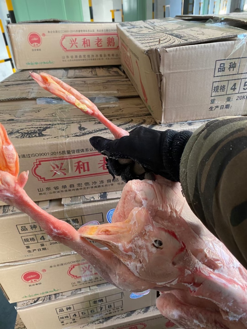 老鹅，公鹅，仔鹅，中龄鹅，去油肺，纯干货，一件可发
