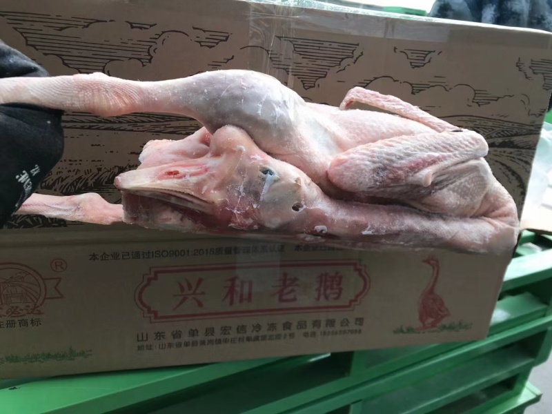 老鹅，公鹅，仔鹅，中龄鹅，去油肺，纯干货，一件可发
