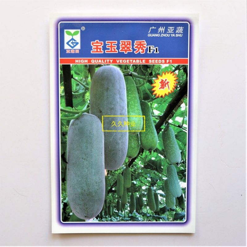 宝玉翠秀冬瓜种籽粉皮节瓜种子抗病耐热早熟农家春秋季播蔬菜