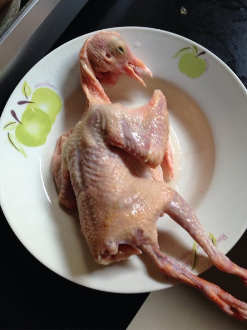 乳鸽，新鲜乳鸽，全国发货