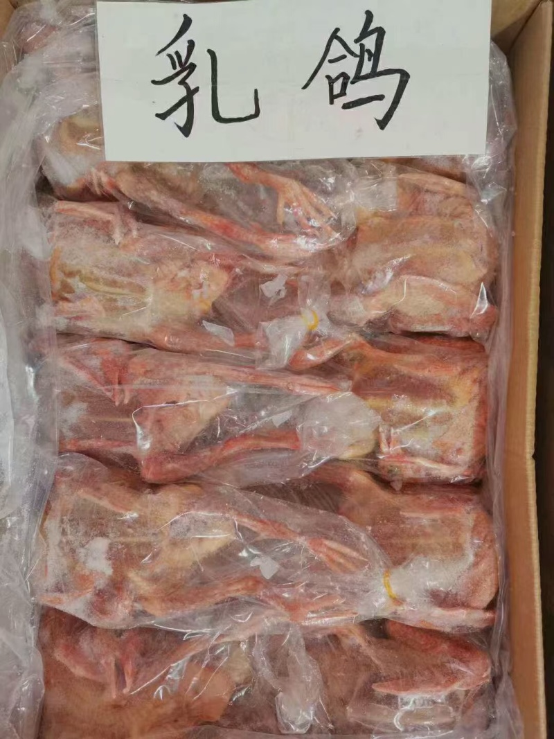 乳鸽，新鲜乳鸽，全国发货