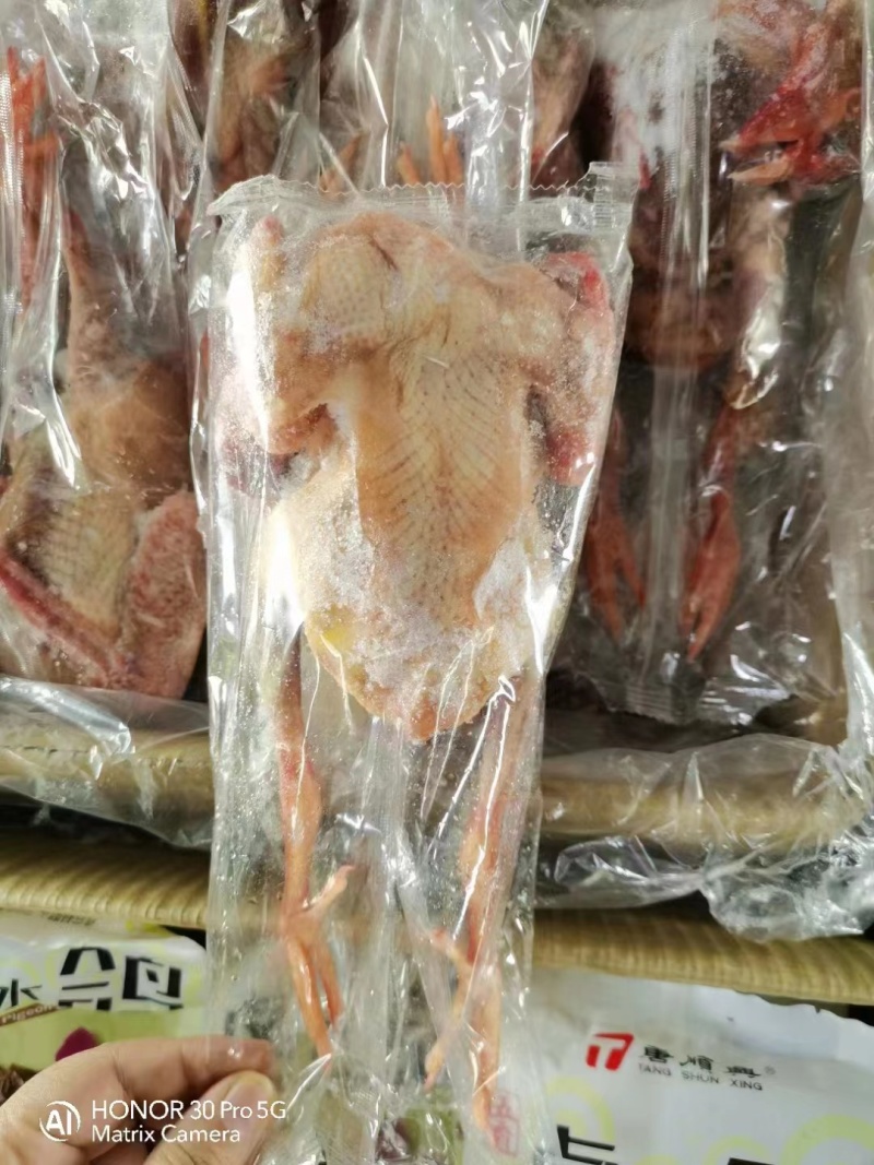乳鸽，新鲜乳鸽，全国发货