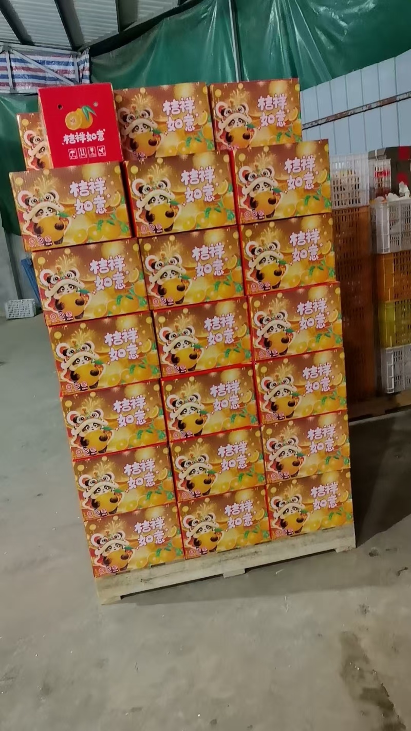 春见耙耙柑，带泡沫彩箱发货（快递），支持一件代发