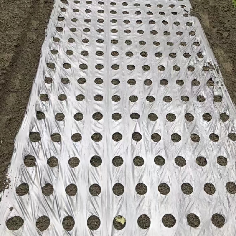 白色透明地膜打孔地膜农用塑料薄膜蔬菜专用打孔地膜保温保湿透气