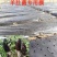 农用塑料薄膜地膜打孔地膜黑地膜打孔地膜