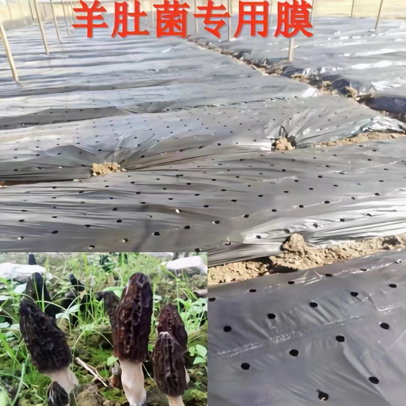农用塑料薄膜地膜打孔地膜黑地膜打孔地膜