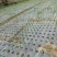 农用塑料薄膜地膜打孔地膜黑地膜打孔地膜