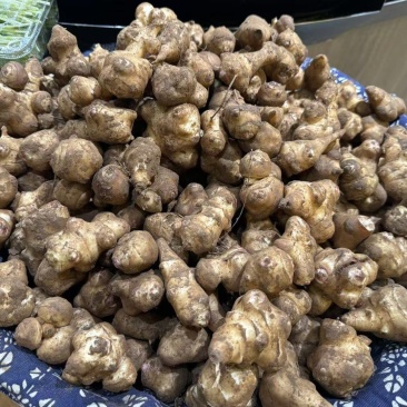 白洋姜/菊芋头/基地直发/量大从优/一手货源