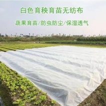 无纺布农用防寒保温无纺布育苗育秧无纺布草坪无纺布果蔬防寒布