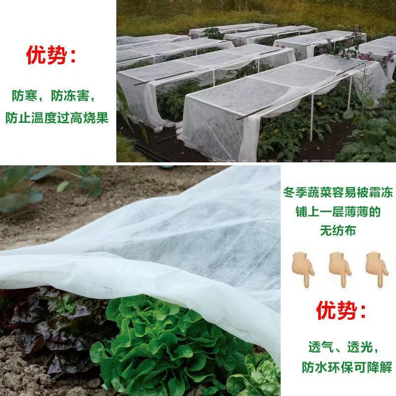 无纺布农用防寒保温无纺布育苗育秧无纺布草坪无纺布果蔬防寒布