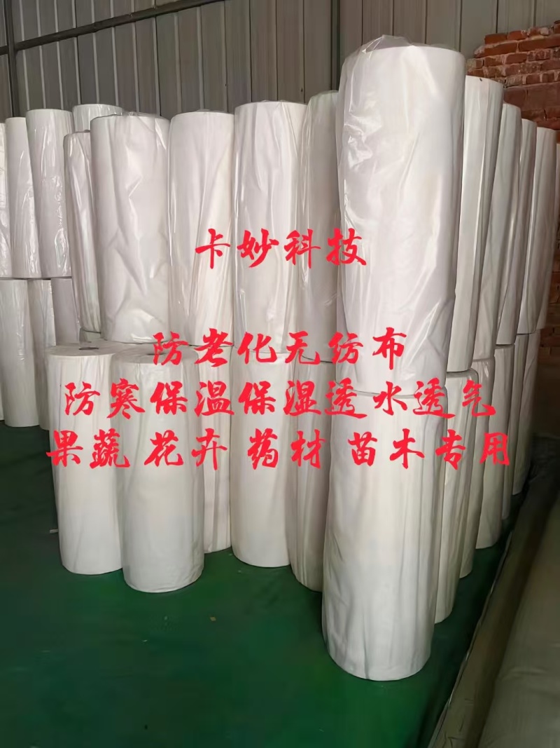 无纺布农用防寒保温无纺布育苗育秧无纺布草坪无纺布果蔬防寒布